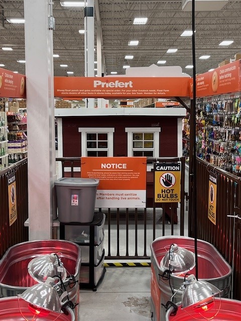 Indoor Sheep Hog Goat Panels Display 4